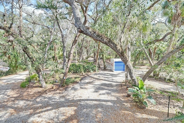 view of road featuring gravel driveway and a wooded view