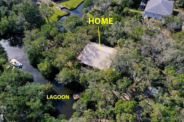6618 S Beagle Dr, Homosassa, FL 34448 - photo 5