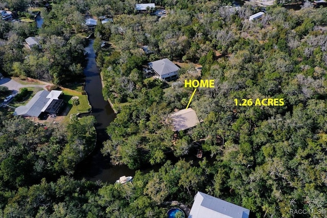 aerial view with a forest view