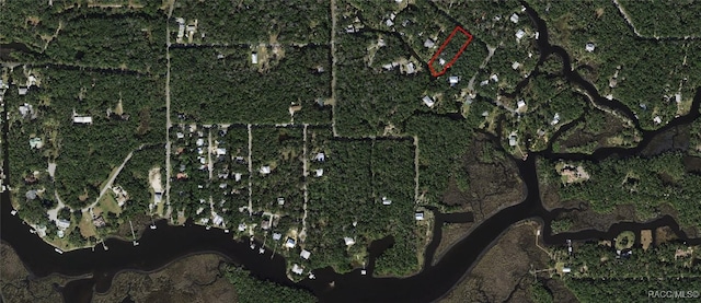 6618 S Beagle Dr, Homosassa, FL 34448 - photo 73