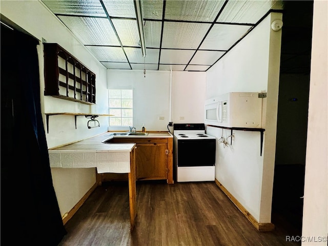 kitchen with sink, dark hardwood / wood-style floors, and white appliances