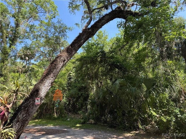 6929 E Totem Ct, Hernando, FL 34442