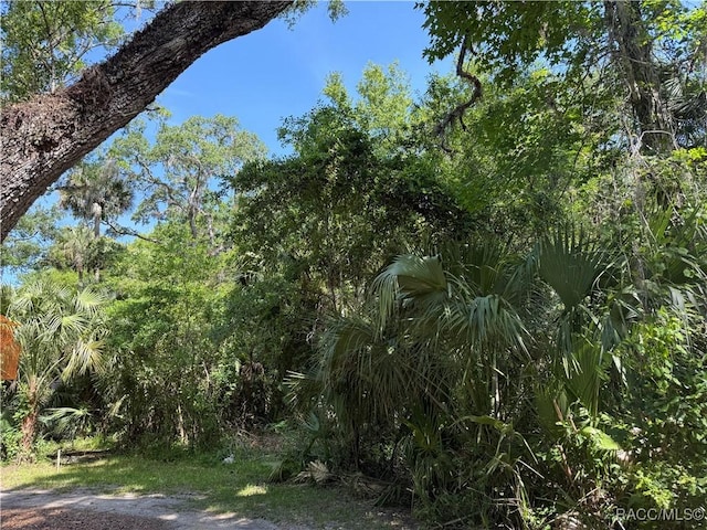6929 E Totem Ct, Hernando, FL 34442