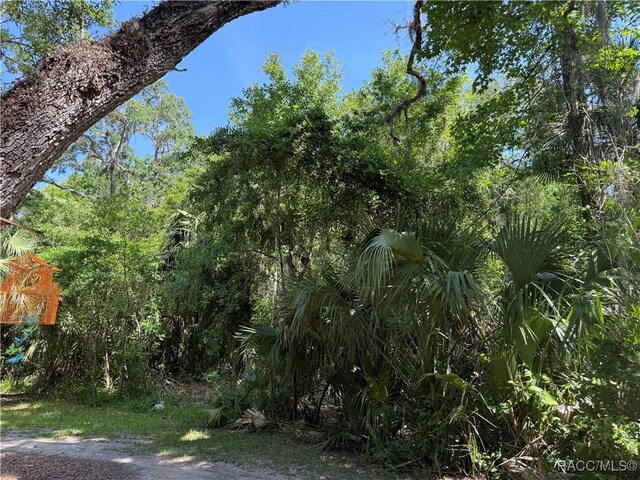 6929 E Totem Ct, Hernando, FL 34442