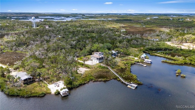 14211 W Saint Martins Rd, Crystal River, FL 34429 - aerial view featuring a water view