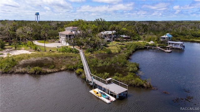 14211 W Saint Martins Rd, Crystal River, FL 34429 - bird's eye view with a water view and a forest view
