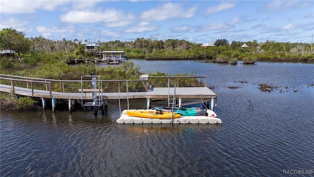 14211 W Saint Martins Rd, Crystal River, FL 34429 - view of dock featuring a water view and boat lift