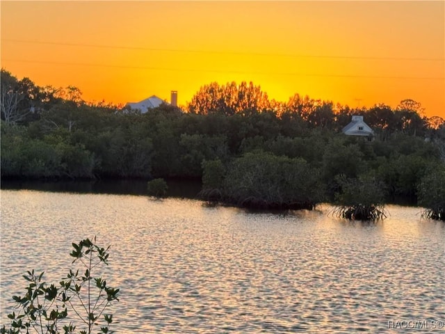 14211 W Saint Martins Rd, Crystal River, FL 34429 - property view of water