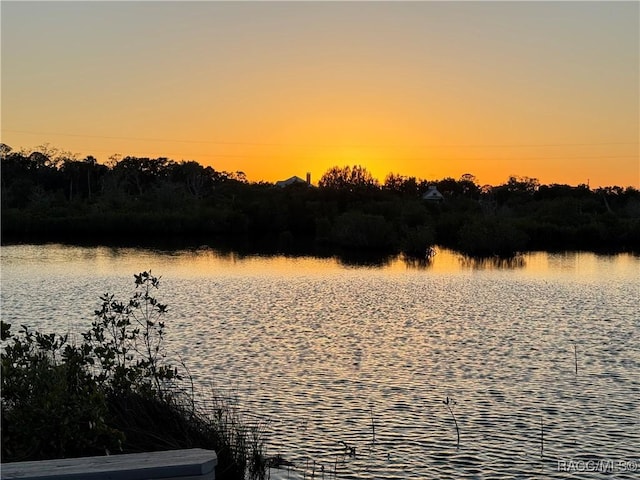 14211 W Saint Martins Rd, Crystal River, FL 34429 - water view