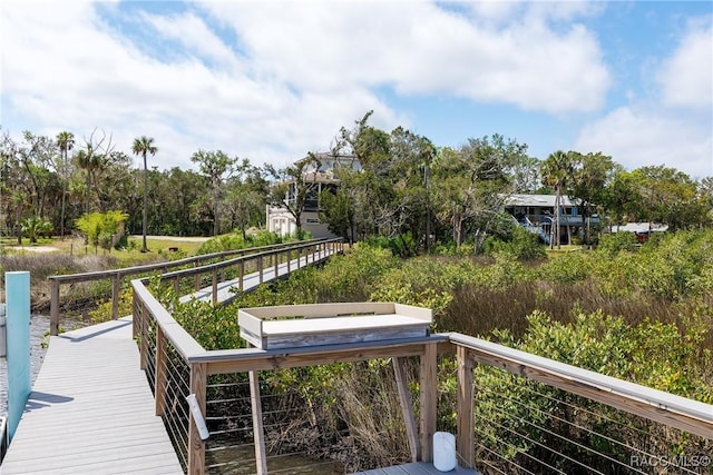 14211 W Saint Martins Rd, Crystal River, FL 34429 - view of dock area