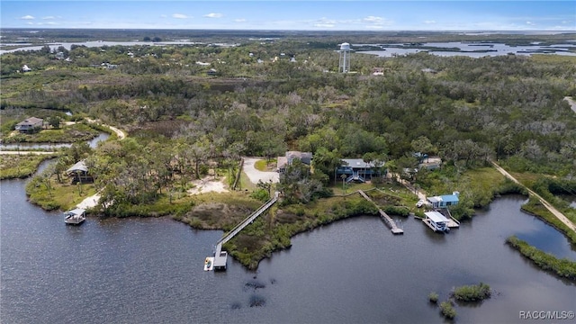 14211 W Saint Martins Rd, Crystal River, FL 34429 - bird's eye view with a water view and a forest view