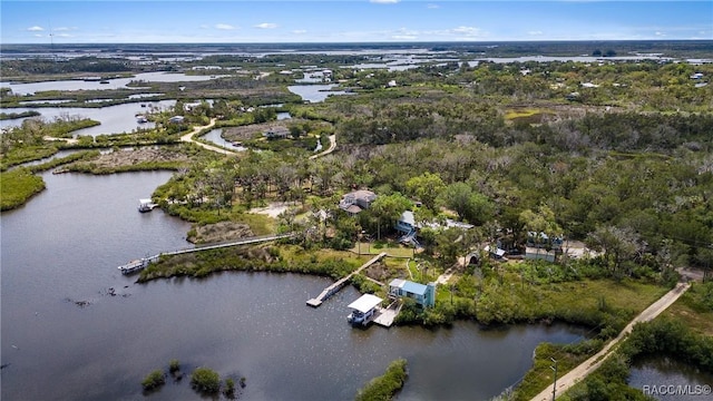14211 W Saint Martins Rd, Crystal River, FL 34429 - birds eye view of property with a water view