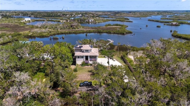14211 W Saint Martins Rd, Crystal River, FL 34429 - drone / aerial view featuring a water view