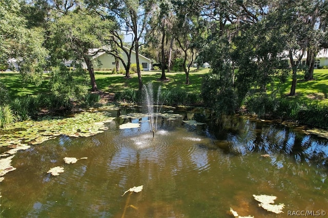 property view of water