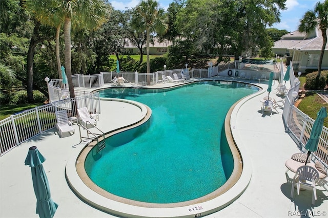 view of pool featuring a patio