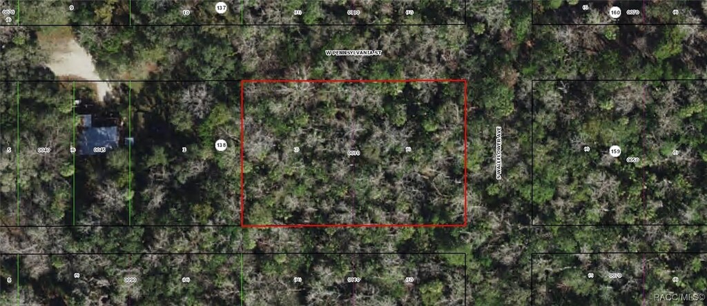 10140 W Pennsylvania St, Homosassa, FL 34448 - photo 1