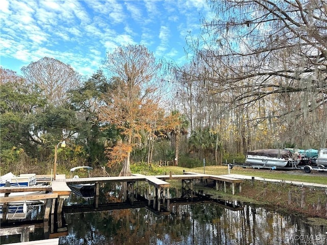 475 Landings Blvd, Inverness, FL 34450 - photo 21