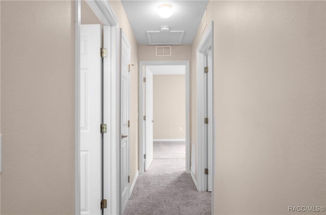 835 N Rembrandt Way, Inverness, FL 34453 - hallway with carpet and baseboards