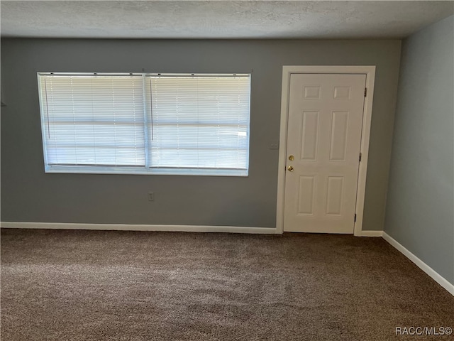 entrance foyer featuring a textured ceiling, carpet floors, and plenty of natural light