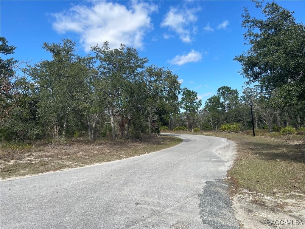 27 Freesia Ct, Homosassa, FL 34442
