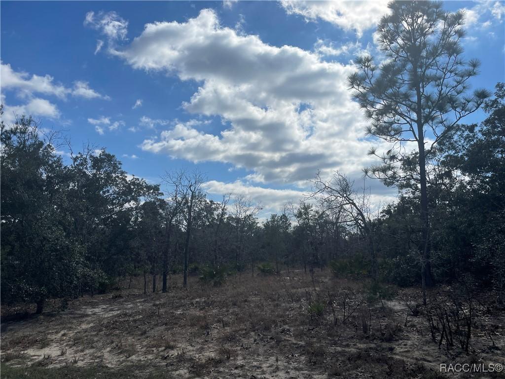 27 Freesia Ct, Homosassa, FL 34442