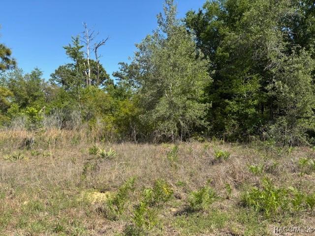 1288 W Riley Dr, Dunnellon, FL 34434