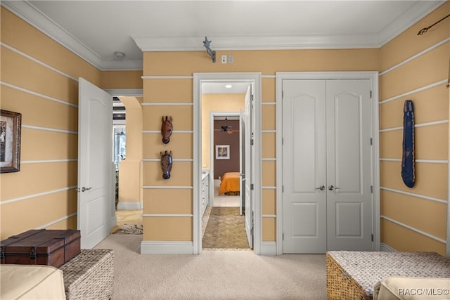 carpeted bedroom with ornamental molding and a closet