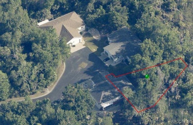 11246 W Freshwater Path, Crystal River, FL 34428 - view of property location with property parcel outlined