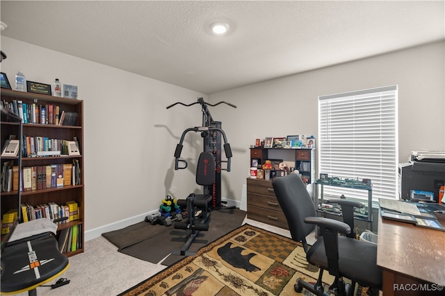 office space featuring carpet and a textured ceiling