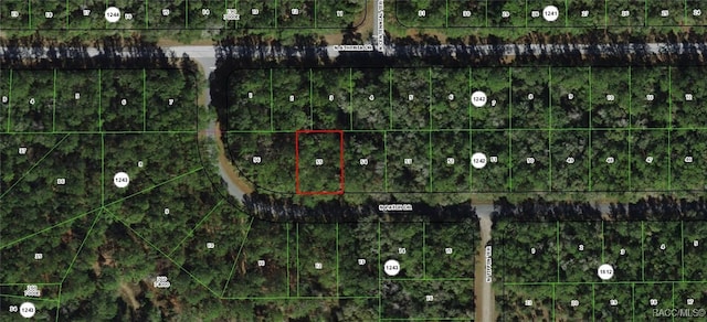 9281 N Patch Dr, Dunnellon FL, 34434 land for sale