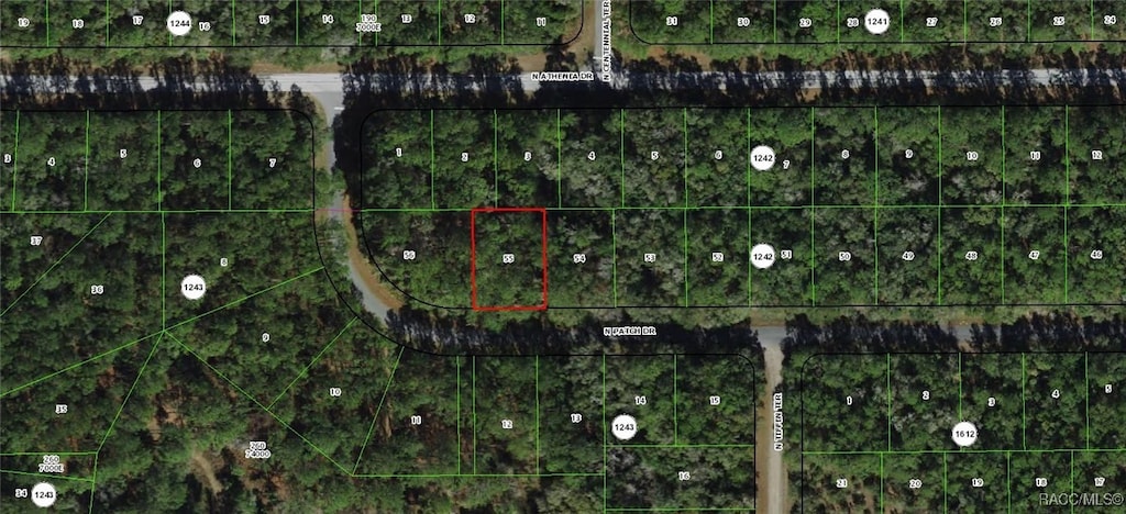 9281 N Patch Dr, Dunnellon, FL 34434 - photo 1