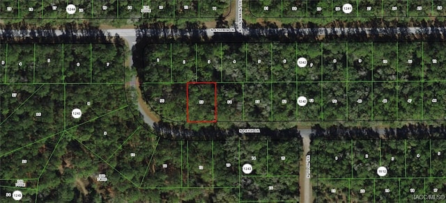 9281 N Patch Dr, Dunnellon, FL 34434