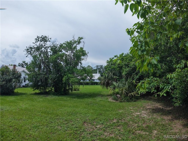 20790 Powell Rd, Dunnellon, FL 34431 - photo 44