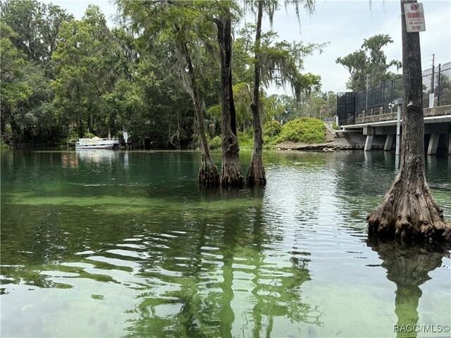 20790 Powell Rd, Dunnellon, FL 34431 - photo 69