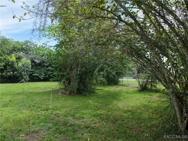 20790 Powell Rd, Dunnellon, FL 34431 - photo 48