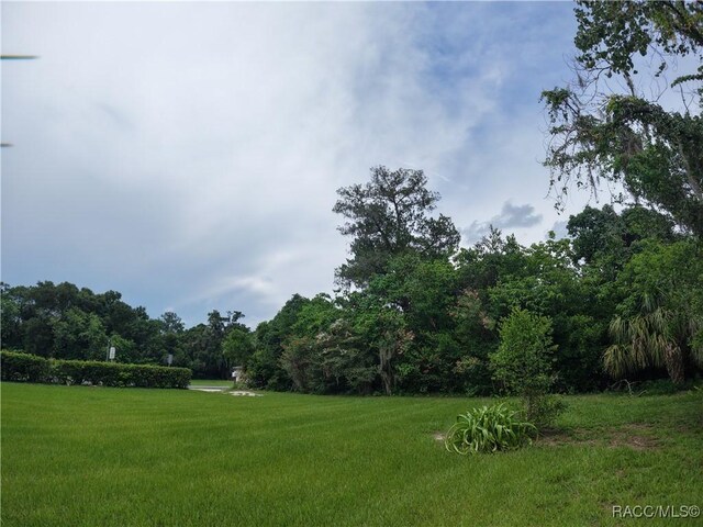 20790 Powell Rd, Dunnellon, FL 34431 - photo 42
