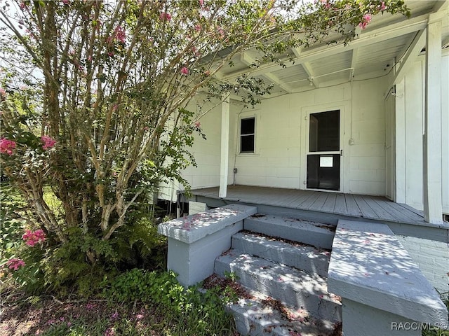 20790 Powell Rd, Dunnellon, FL 34431 - photo 35