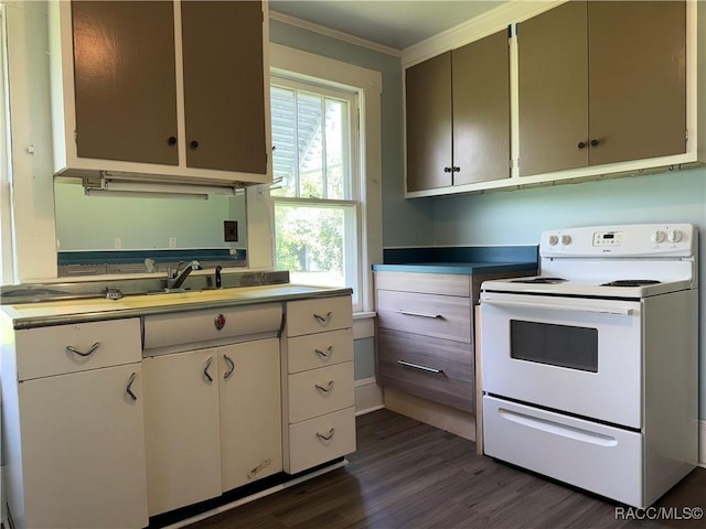 20790 Powell Rd, Dunnellon, FL 34431 - photo 33