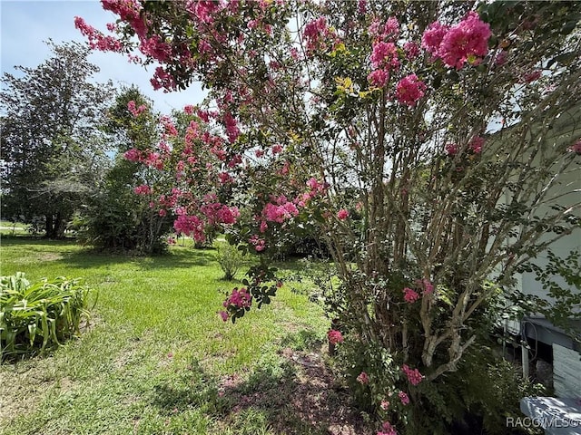 20790 Powell Rd, Dunnellon, FL 34431 - photo 49
