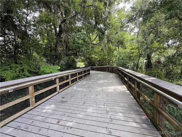 20790 Powell Rd, Dunnellon, FL 34431 - photo 73