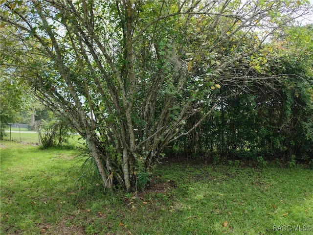20790 Powell Rd, Dunnellon, FL 34431 - photo 51