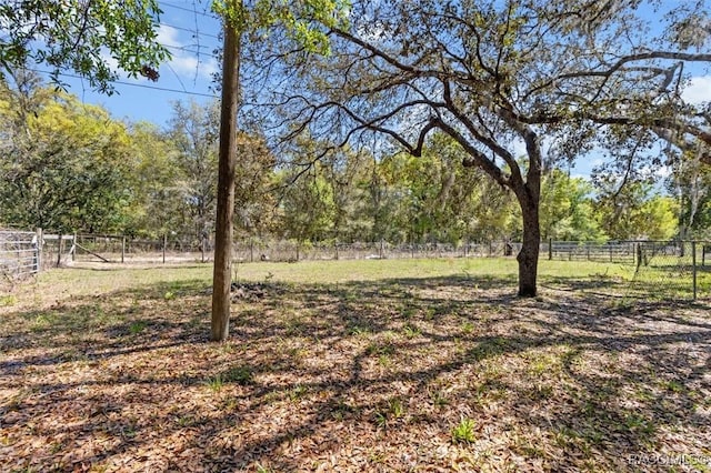 383 S Rooks Ave, Inverness, FL 34453 - view of yard featuring fence