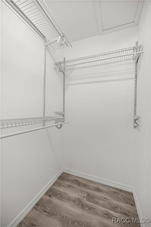 1361 NW 19th St, Crystal River, FL 34428 - walk in closet with wood finished floors and attic access