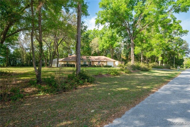826 E Gaines Ln, Hernando, FL 34442 - ranch-style house featuring concrete driveway, a front lawn, a shingled roof, a garage, and stucco siding