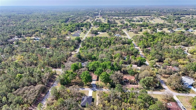 826 E Gaines Ln, Hernando, FL 34442 - aerial view