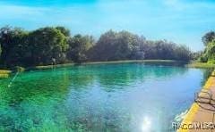 7577 N Chabaud Ter, Crystal River, FL 34428