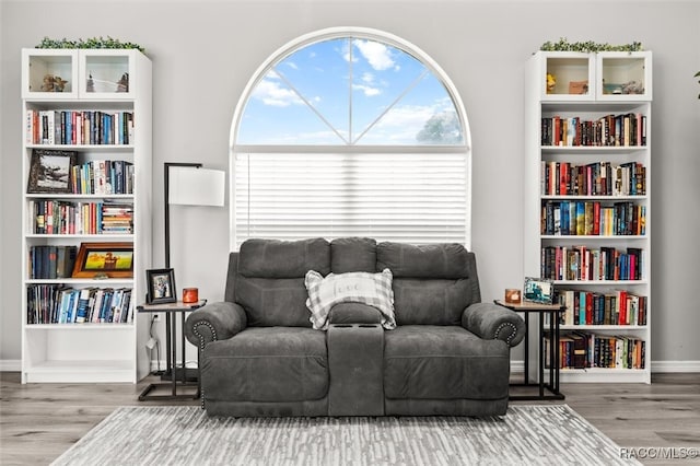 sitting room featuring hardwood / wood-style flooring