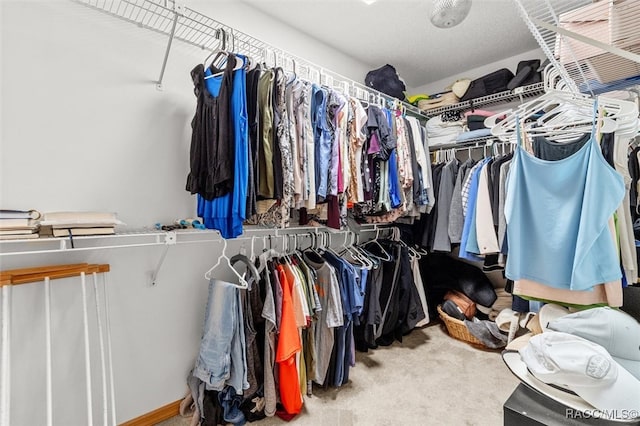 spacious closet with carpet