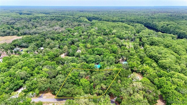 485 N Robin Hood Rd, Inverness, FL 34450 - photo 51