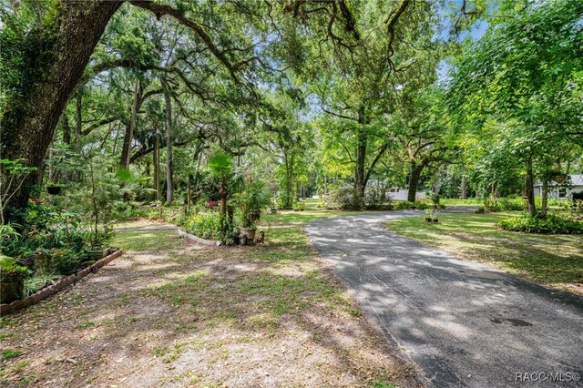 485 N Robin Hood Rd, Inverness, FL 34450 - photo 41